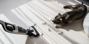 Je huisdier bang voor de stofzuiger? Dit is waarom!