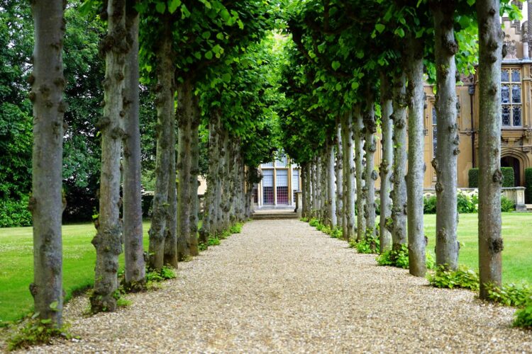 Peaceful garden walkway with trees leading to a historic building