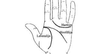 Handlezen voor dummies: wat vertellen je handlijnen over jou?