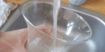 Moet je het water van tulpen steeds helemaal verversen, of kun je beter alleen bijvullen?