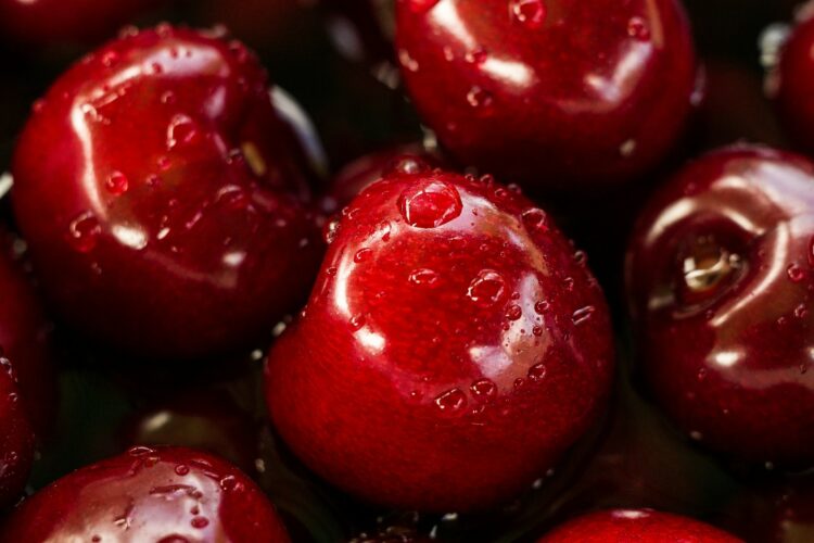 Closeup photography of red cherry