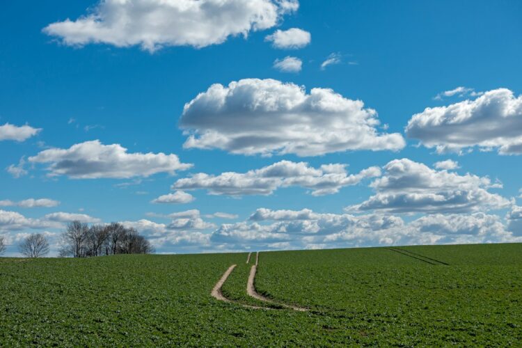 Green grass field under blue sky and white clouds during daytime