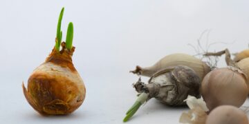 a bunch of vegetables that are on a table