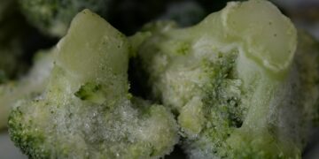 green and white food on white ceramic plate