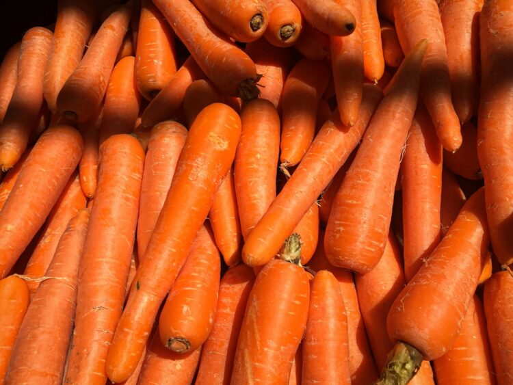 Orange carrots on black surface