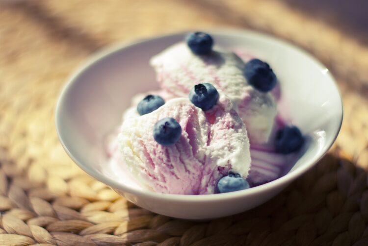 Bowl ice cream dessert food sweet cold delicious ice cream scoop refreshment tasty summer nature flavor taste diet blueberries