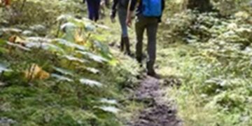 Als het in het bos naar Maggi ruikt, dreigt er groot gevaar! Klinkt gek, maar dit is waarom