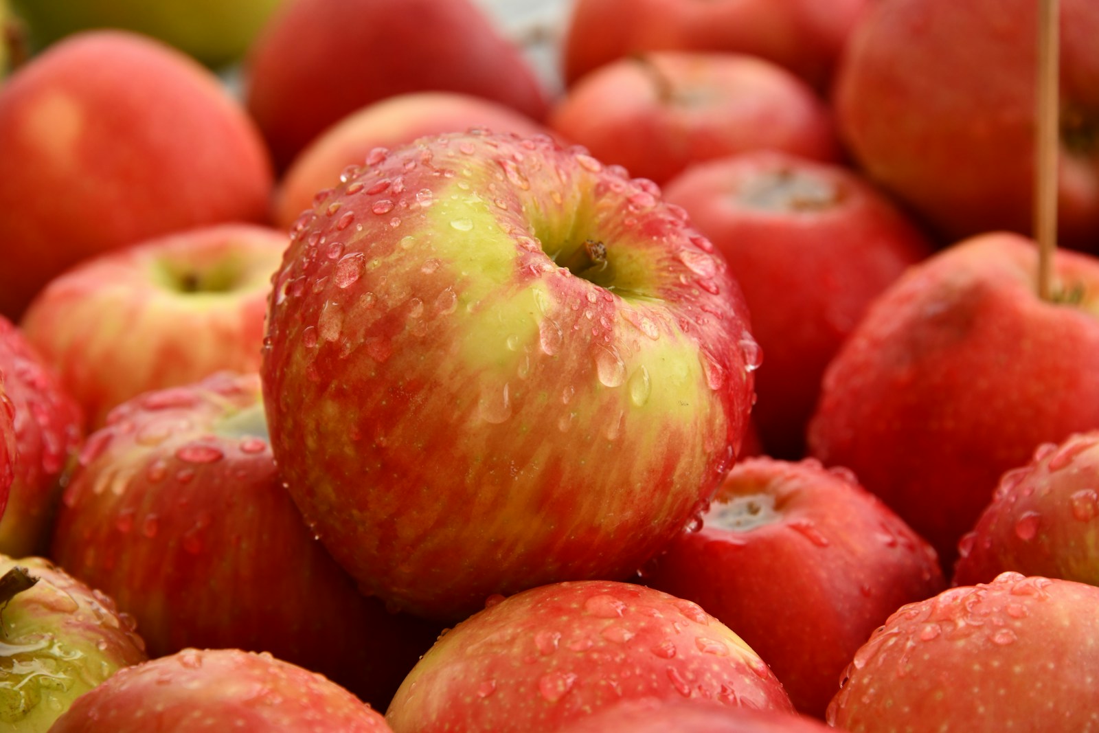 Red apple fruit