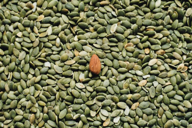 Almond seed on top of green seeds