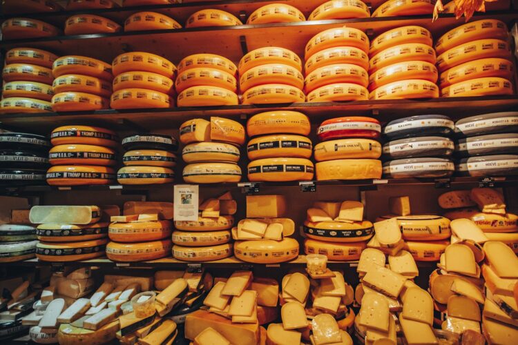 A shelf filled with lots of cheese covered in cheese