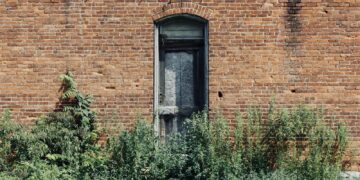 green plants beside brown building