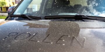 Pas op voor pollen op je auto – en dit is hoe je het goed weg krijgt!
