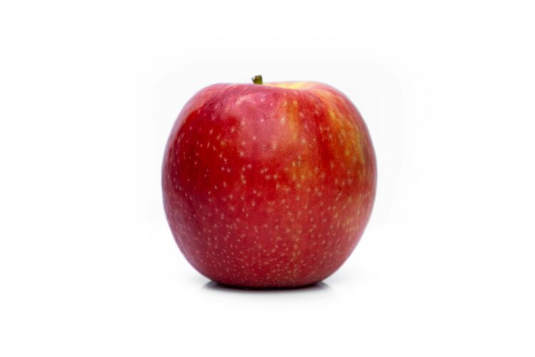 Red apple on white background