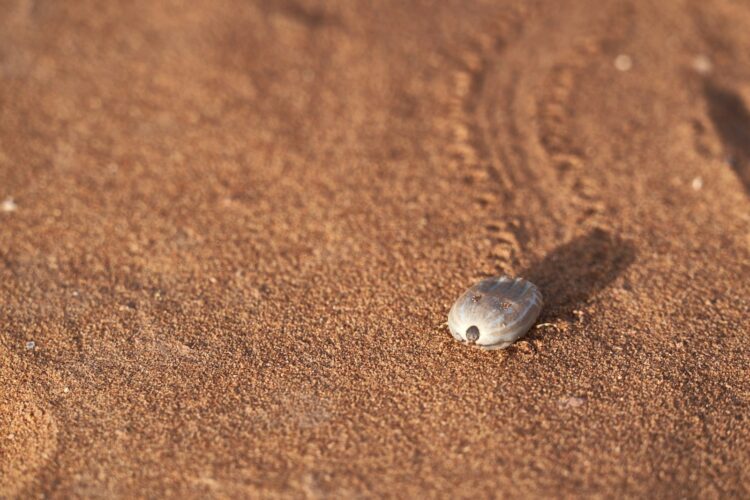 A small rock sitting on top of a sandy beach