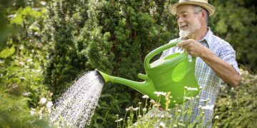 Warme dagen? Dan moet je alleen op dit tijdstip je planten water geven