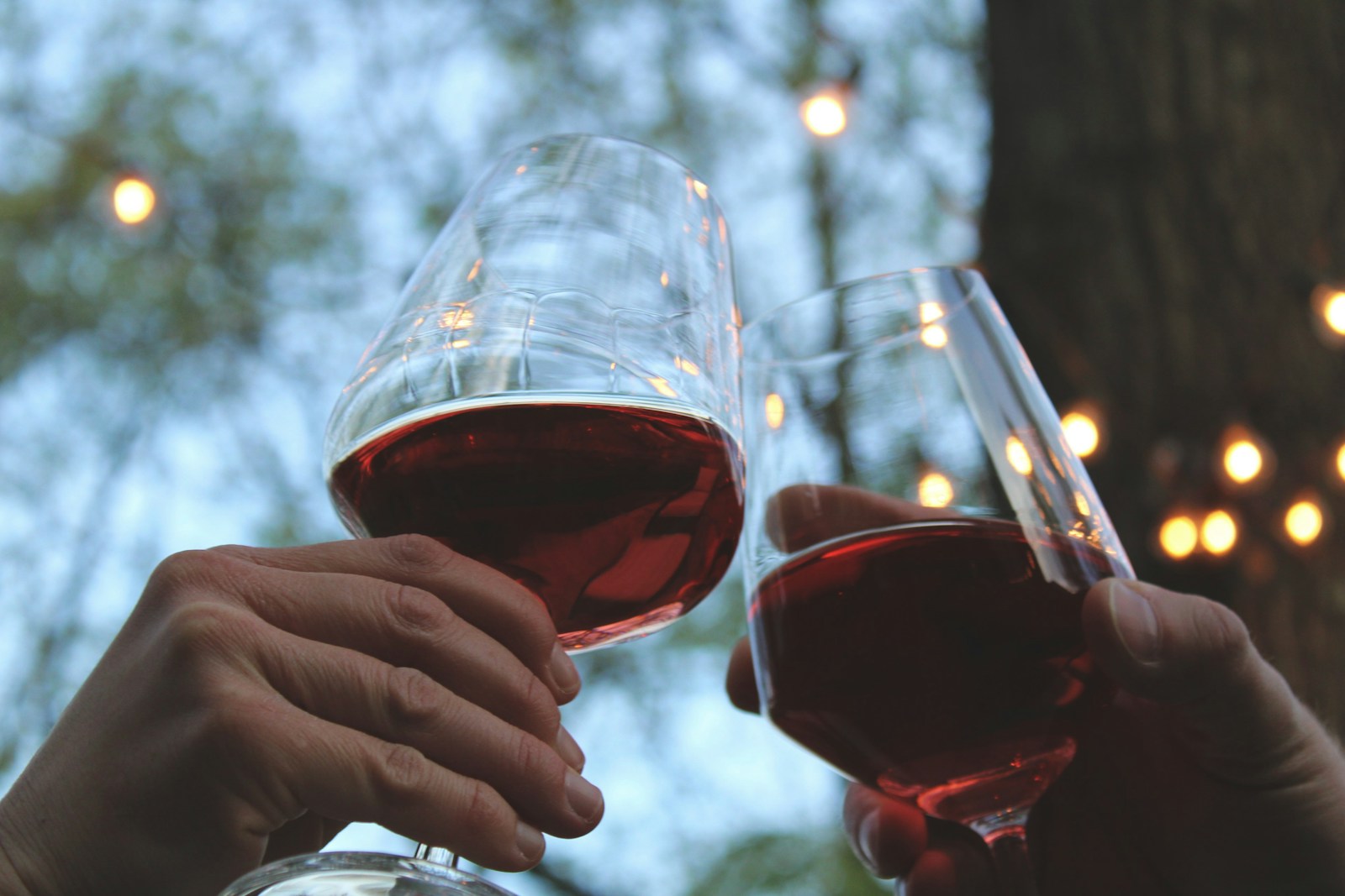 Person holding clear wine glass with red wine