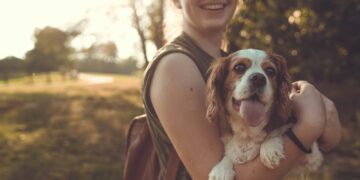 woman carrying adult white and brown dog