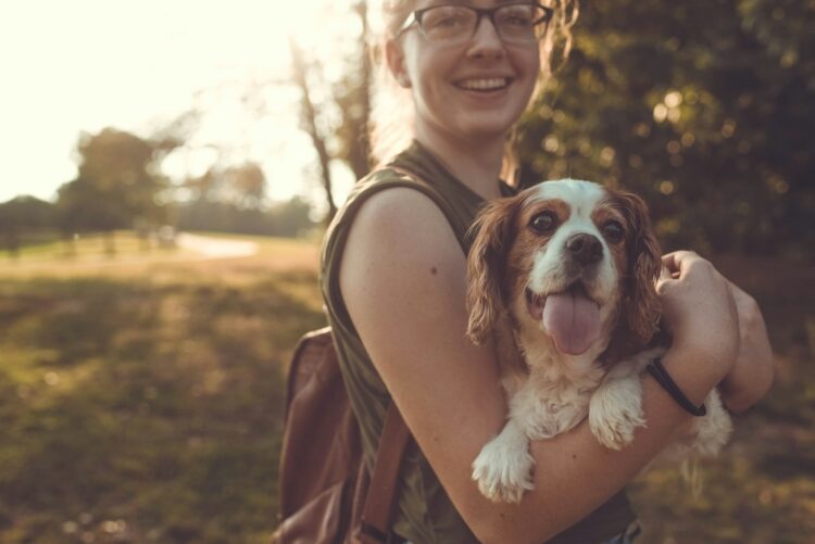 Woman carrying adult white and brown dog