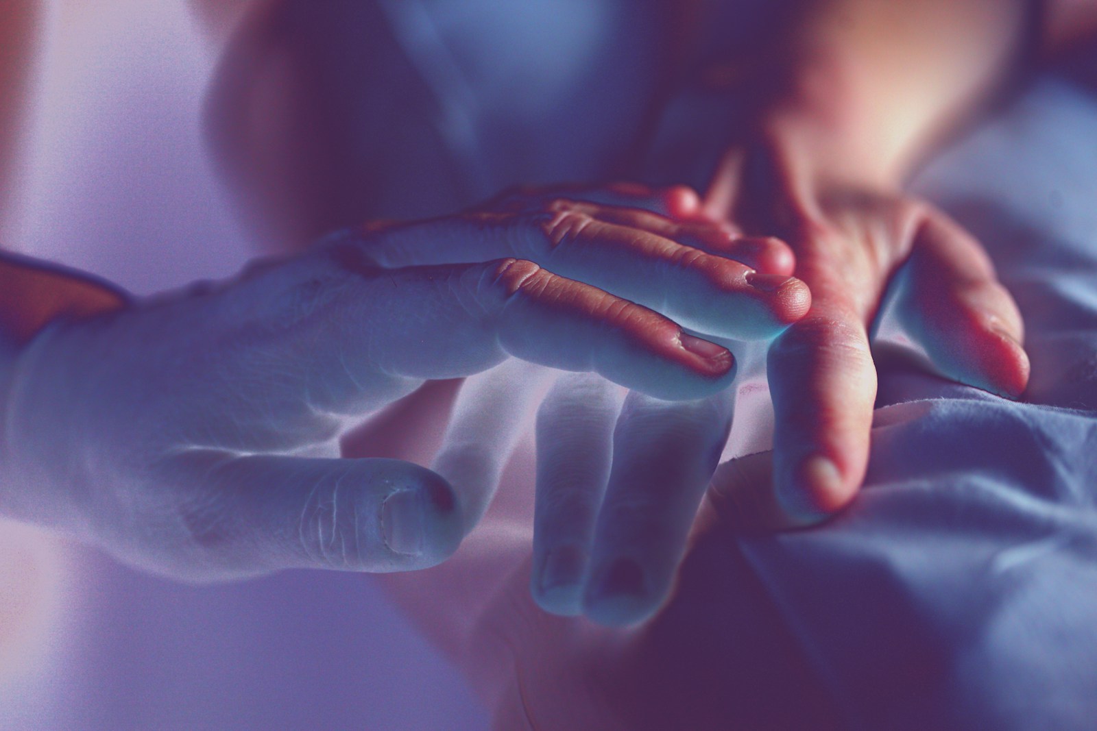 Person's hands