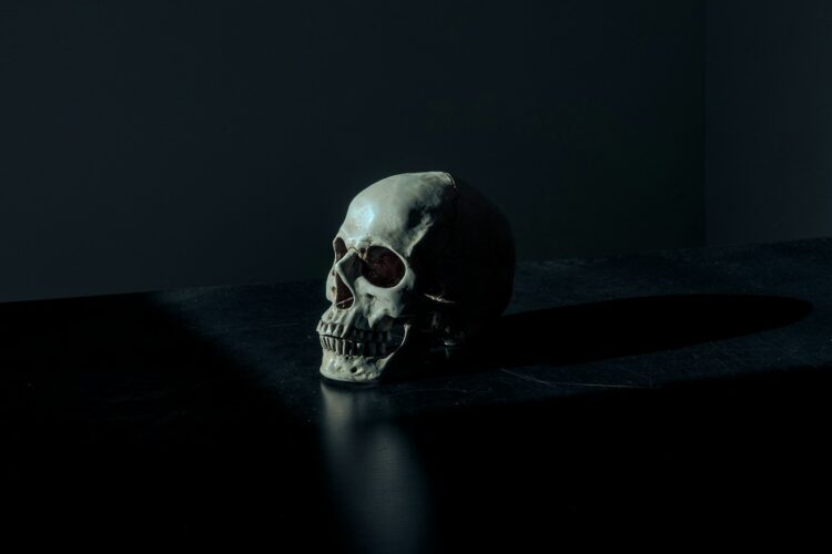 White and black skull figurine on black surface