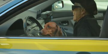 brown dog in front of black steering wheel