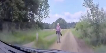 Boer is helemaal klaar met deze wandelaar die de weg blokkeert en legt het vast op camera