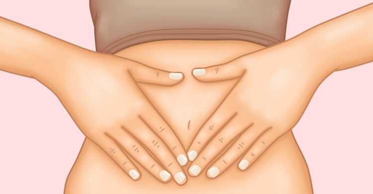 Stomach body little girl belly abdomen woman probiotics digestion women gastric stomach stomach stomach stomach stomach belly abdomen probiotics digestion digestion digestion digestion gastric