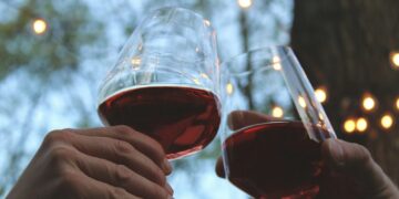 person holding clear wine glass with red wine