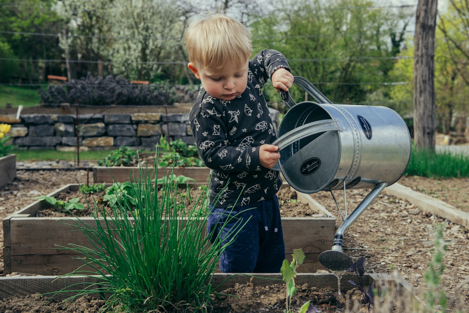 Boy in black and white long sleeve shirt standing beside gray metal watering can during daytime
