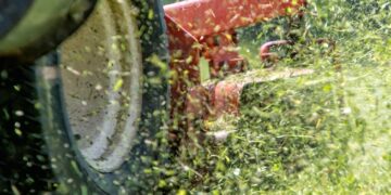 Let op: ruik je de geur van vers gemaaid gras? Dit zou weleens een alarmsignaal kunnen zijn