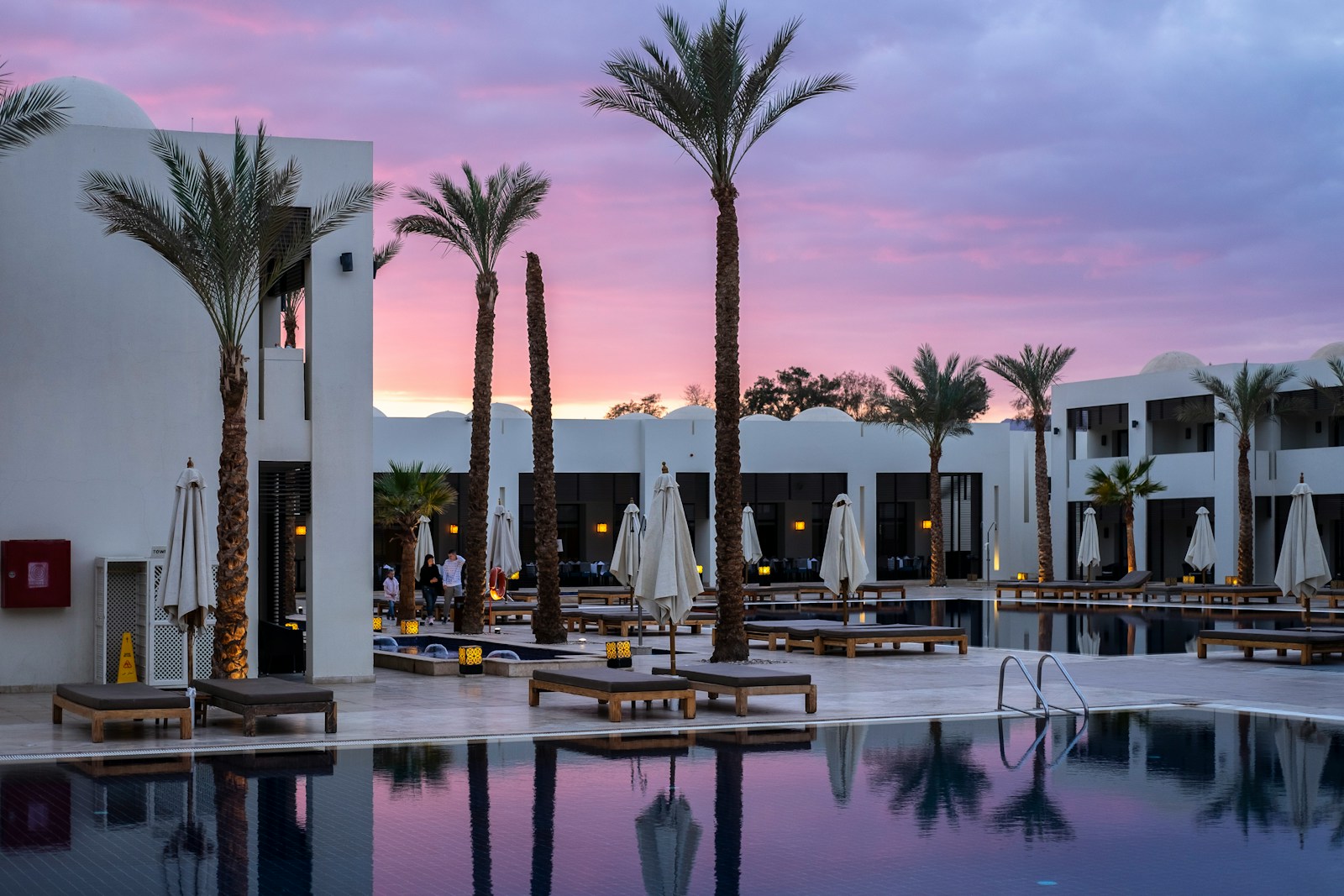 A large swimming pool surrounded by palm trees