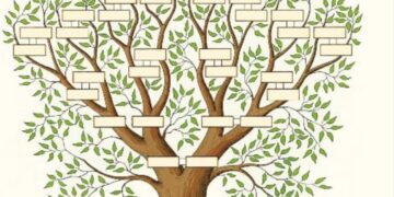 Benieuwd naar je familiegeschiedenis? Op deze manier kan je eenvoudig je stamboom onderzoeken