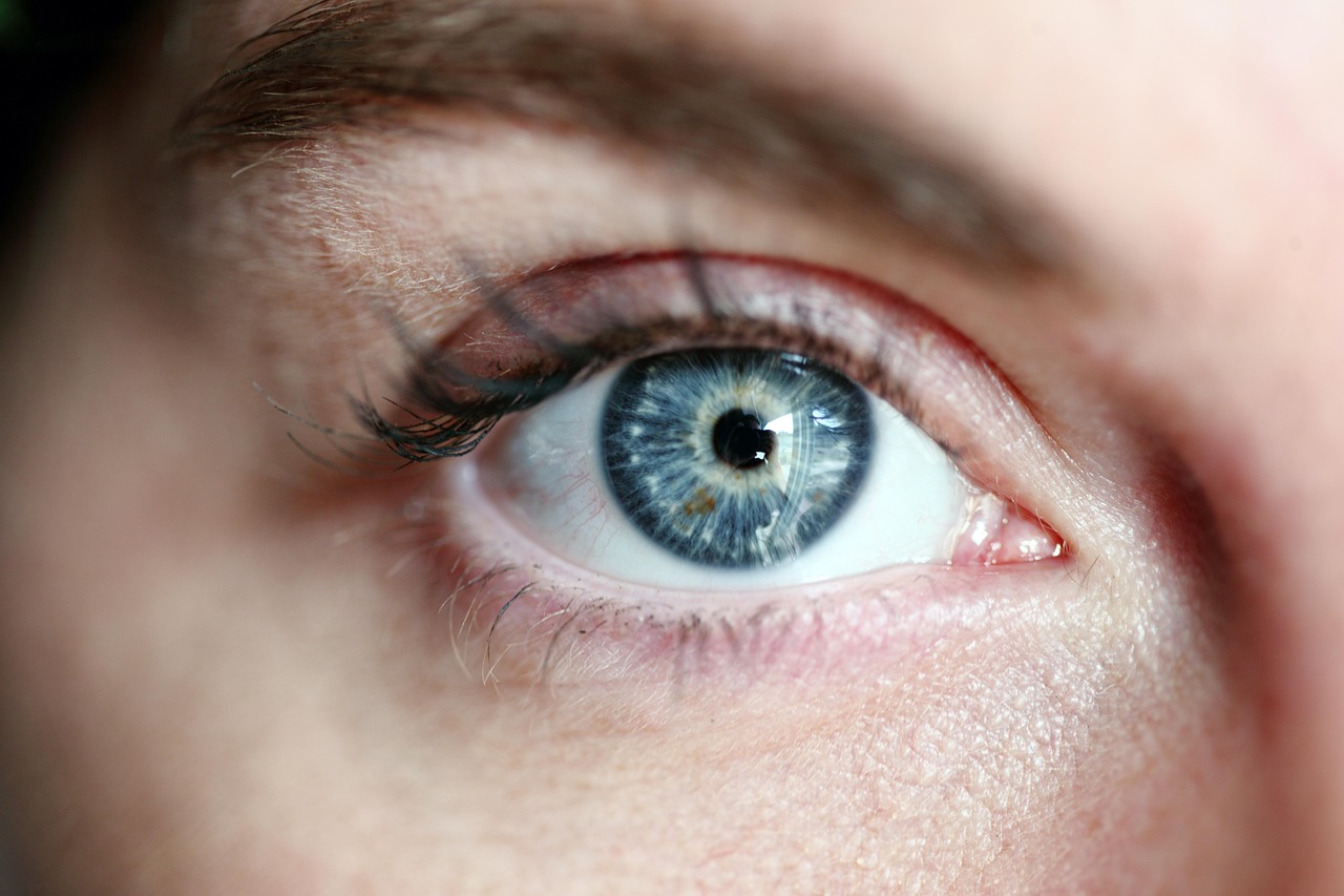 Eye blue eye woman eye lashes portrait skin girl vision female eyesight eyelash eyeball look eye eye eye eye eye