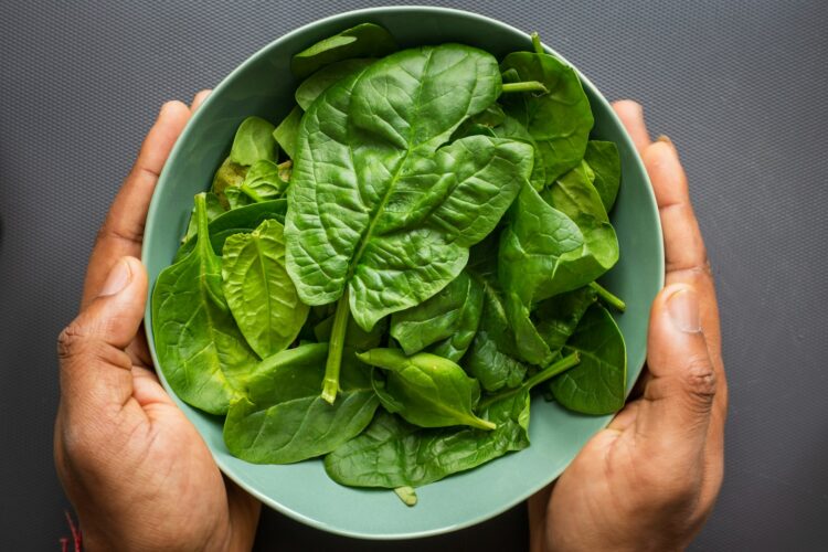 Green leaves on blue plastic bowl