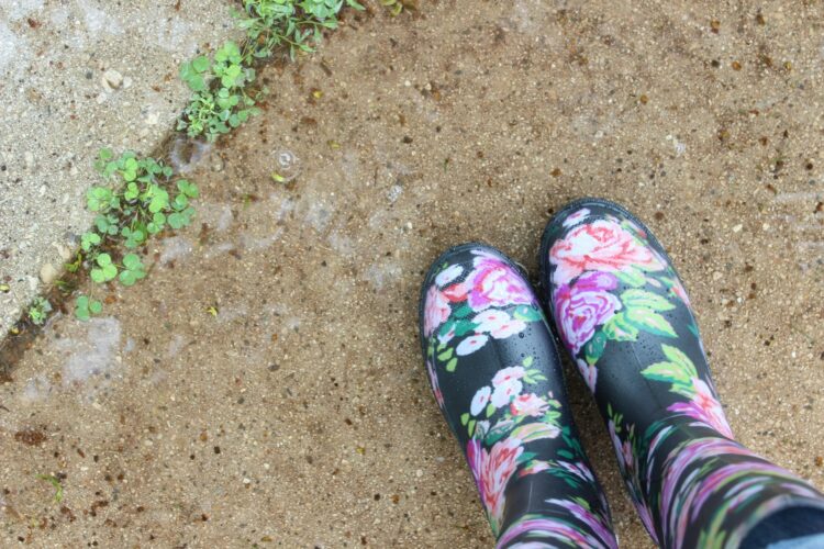 Pair of black and multicolored floral boots
