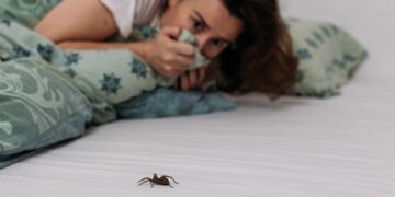 Zo zit het: Hier komt onze angst voor insecten vandaan