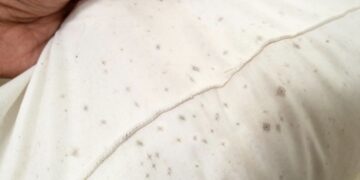 Zo verwijder je eenvouding (schimmel) vlekken uit je tuinkussens