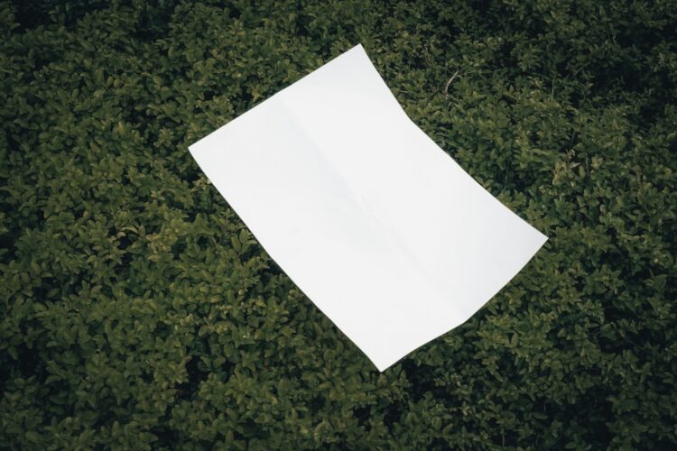 A piece of paper laying on top of a lush green field