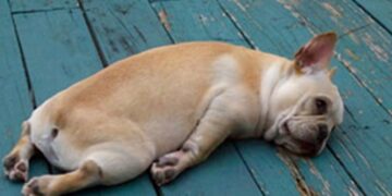 De vakantie voorbij en helemaal geen zin in je werk? Zo lang duurt deze dip en dit kun je eraan doen