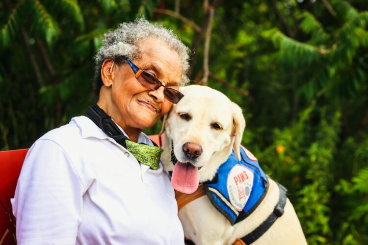 Elderly woman embracing her service labrador retriever outdoors showcasing companionship