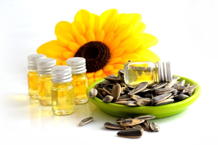 Oil sunflower seeds bottles sunflower seeds sunflower oil products sunflower products plant blossom nature isolated