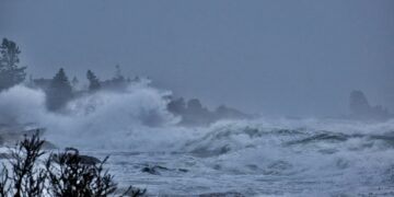 a large body of water surrounded by trees