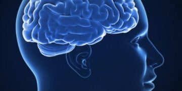 Wetenschapper onthult: deze geuren houden je hersenen gezond