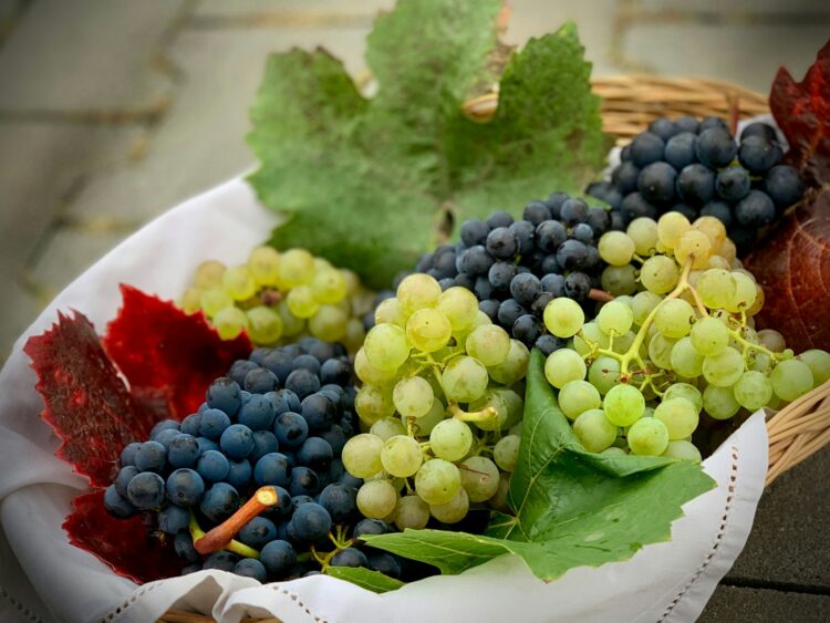 Green grapes on white ceramic bowl