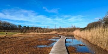 Dit zijn de 5 mooiste vlonderpaden in ons land