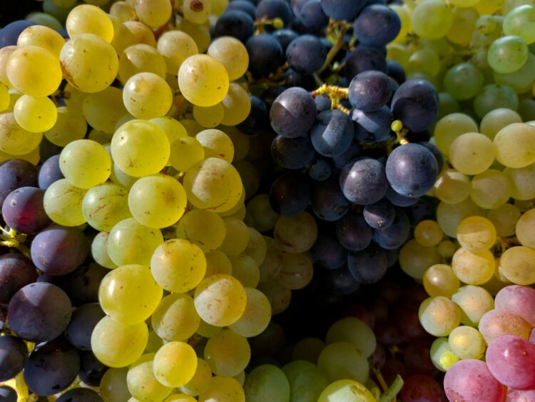 A close up of a bunch of grapes