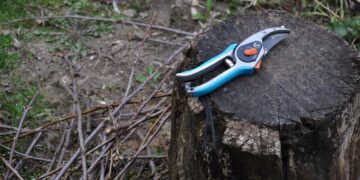 pruning, shearing scissors, gardening, vine, chump, gray gardening, pruning, pruning, pruning, pruning, pruning