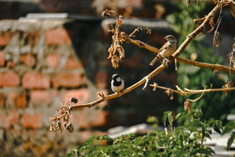 A small bird perched on a tree branch