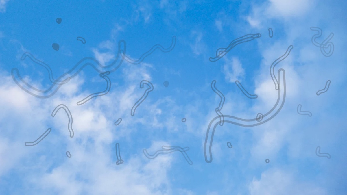 Screenshot - Info Vandaag