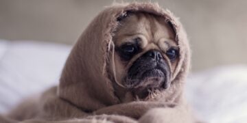 Last van een herfstdip? Zo kom je er volgens experts weer heel snel bovenop